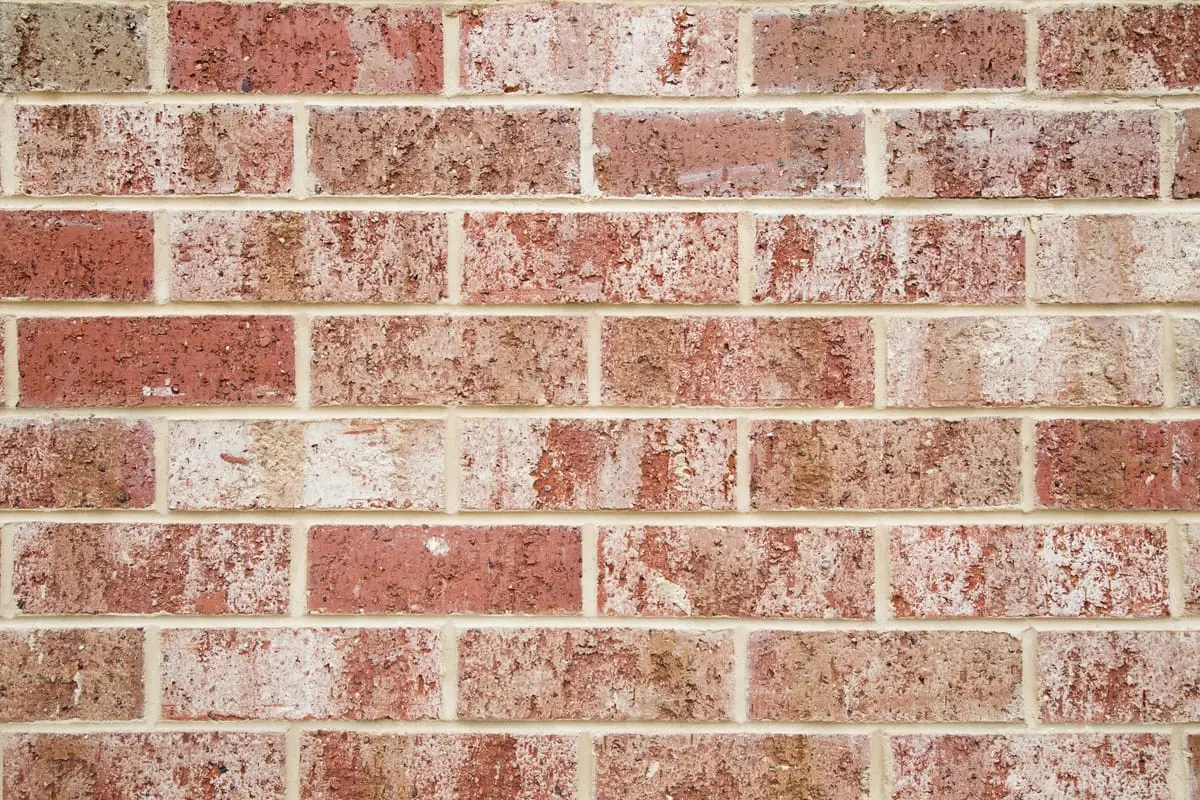 Construcción de casa
