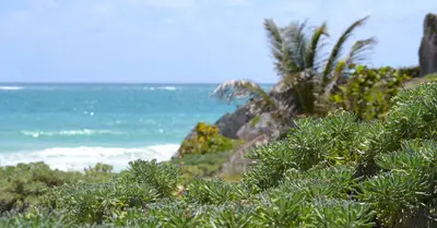 Rentabilidad de Airbnb en Tulum: Números Reales 2026 - Inmobiliaria32